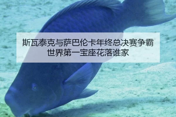 斯瓦泰克与萨巴伦卡年终总决赛争霸 世界第一宝座花落谁家