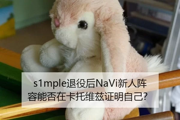 s1mple退役后NaVi新人阵容能否在卡托维兹证明自己？