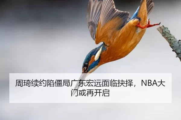 周琦续约陷僵局广东宏远面临抉择，NBA大门或再开启